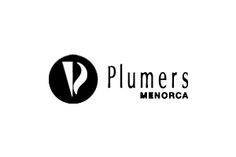 ZAPATOS PLUMERS